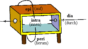[Grafik zu den Präpositionen epi, intra, dia und
peri]